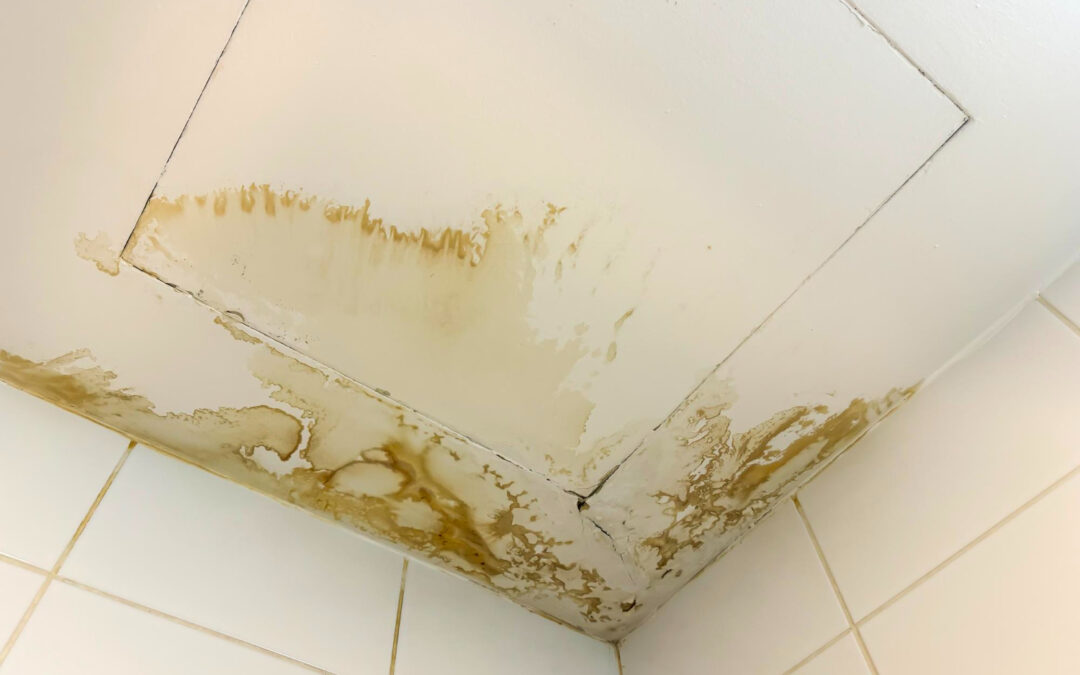 Where to Look for Hidden Water Leaks in Your Home